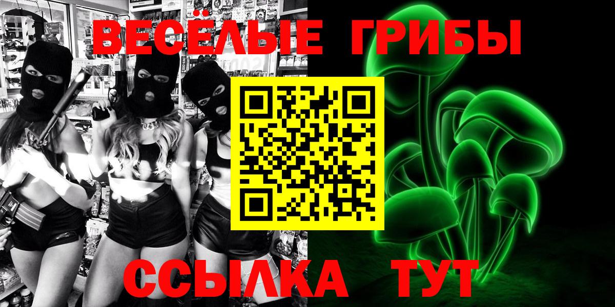 Галлюциногенные грибы Psilocybe  Галлюциногенные грибы мицелий  Орехово-Зуево  Вход с VPN 
